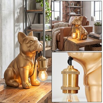 Harol Lampa stołowa Złoty, 1-punktowy