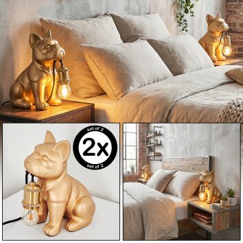 Harol Lampa stołowa Złoty, 1-punktowy