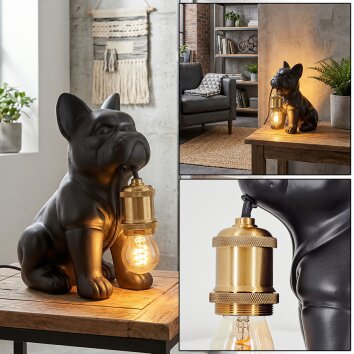 Harol Lampa stołowa Czarny, 1-punktowy