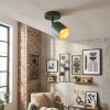 Horen Lampa sufitowa, Spot sufitowy Zielony, 1-punktowy