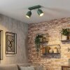 Horen lampa sufitowa, spot sufitowy zielony, 2-punktowe