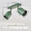 Horen lampa sufitowa, spot sufitowy zielony, 2-punktowe
