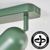 Horen lampa sufitowa, spot sufitowy zielony, 2-punktowe