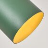 Horen lampa sufitowa, spot sufitowy zielony, 2-punktowe