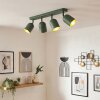 Horen lampa sufitowa, spot sufitowy zielony, 4-punktowe
