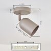 Horen lampa sufitowa, spot sufitowy piaskowy, 1-punktowy