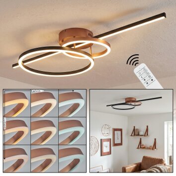 Goren Lampa sufitowa LED Miedź, Czarny, 1-punktowy