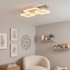 Jalek lampa sufitowa LED piaskowy, 1-punktowy