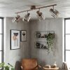 Casterk lampa sufitowa, spot sufitowy brązowy, chrom, 4-punktowe