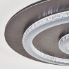 Lidor lampa sufitowa LED antracytowy, szary, czarny, 1-punktowy, Zdalne sterowanie