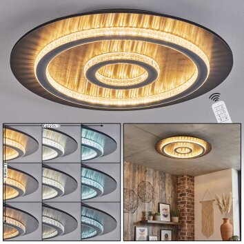 Lidor Lampa sufitowa LED Antracytowy, Szary, Czarny, 1-punktowy, Zdalne sterowanie