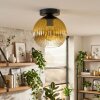 Koyoto lampa sufitowa, kula świetlna 20 cm złoty, przezroczysty, 1-punktowy