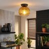 Koyoto lampa sufitowa, kula świetlna 20 cm złoty, przezroczysty, 1-punktowy