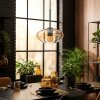 Mertola lampa wisząca, lampa wisząca bursztynowy, przezroczysty, 1-punktowy