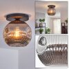 Ripoll lampa sufitowa, kula świetlna przydymiony, 1-punktowy