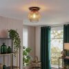 Ripoll lampa sufitowa, kula świetlna bursztynowy, przezroczysty, 1-punktowy
