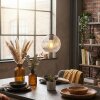 Ripoll lampa wisząca, kula świetlna, lampa wisząca przezroczysty, 1-punktowy