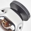 Ripoll lampa sufitowa, kula świetlna chrom, przezroczysty, przydymiony, 1-punktowy