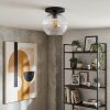 Koyoto lampa sufitowa, kula świetlna 25 cm przezroczysty, 1-punktowy