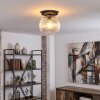Koyoto lampa sufitowa, kula świetlna 25 cm przezroczysty, 1-punktowy
