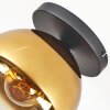 Koyoto lampa sufitowa, kula świetlna 25 cm złoty, przezroczysty, 1-punktowy