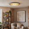 Lidor lampa sufitowa LED złoty, miedziany, czarny, 1-punktowy, Zdalne sterowanie