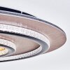 Lidor lampa sufitowa LED złoty, miedziany, czarny, 1-punktowy, Zdalne sterowanie