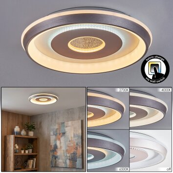 Dakon Lampa sufitowa LED W kolorze szampana, Biały, 1-punktowy