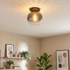 Koyoto lampa sufitowa, kula świetlna 30 cm przezroczysty, przydymiony, 1-punktowy