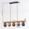 Gastor lampa wisząca, kula świetlna, lampa wisząca kolory naturalne, czarny, 5-punktowe