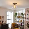 Koyoto lampa sufitowa, kula świetlna 30 cm przezroczysty, 1-punktowy
