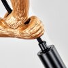 Evelis lampa wisząca, lampa wisząca złoty, czarny, 1-punktowy