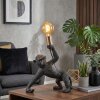lampa małpa  Kemor lampa stołowa złoty, czarny, 1-punktowy