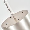 Falor lampa wisząca, lampa wisząca LED w kolorze szampana, 1-punktowy