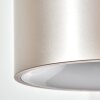 Falor lampa wisząca, lampa wisząca LED w kolorze szampana, 1-punktowy