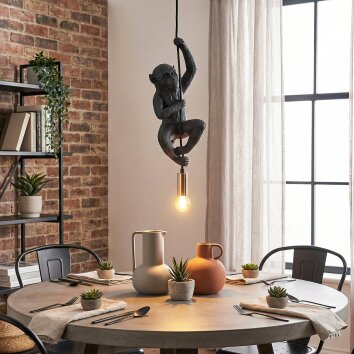 Evelis lampa wisząca, lampa wisząca złoty, czarny, 1-punktowy