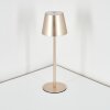 Salgadinho zewnętrzna lampa stołowa, lampa stołowa LED w kolorze szampana, 1-punktowy
