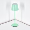 Salgadinho zewnętrzna lampa stołowa, lampa stołowa LED zielony, 1-punktowy