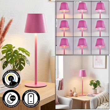 Salgadinho zewnętrzna lampa stołowa, lampa stołowa LED różowy, 1-punktowy