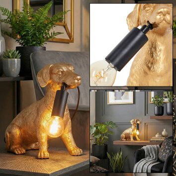 lampa pies  Jomil lampa stołowa złoty, czarny, 1-punktowy