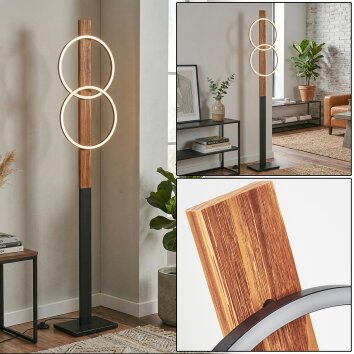 Pompu lampa stojąca LED kolory naturalne, czarny, 1-punktowy