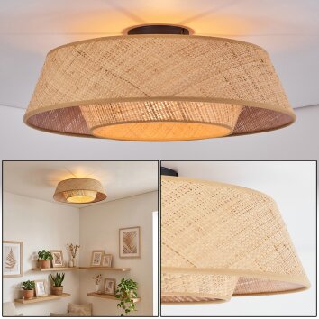 Orvex lampa sufitowa czarny, 1-punktowy