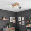 Olaris lampa sufitowa, spot sufitowy chrom, szary, kolory naturalne, 2-punktowe