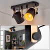 Rebbenas lampa sufitowa, spot sufitowy kolory naturalne, czarny, 2-punktowe