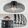 Guayo lampa sufitowa czarny, 1-punktowy