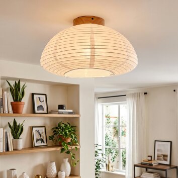 Lonir lampa sufitowa kolory naturalne, 1-punktowy