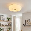 Molak lampa sufitowa nikiel matowy, 2-punktowe
