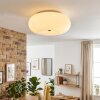 Molak lampa sufitowa nikiel matowy, 2-punktowe