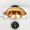 Albo lampa sufitowa czarny, 1-punktowy