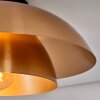 Albo lampa sufitowa czarny, 1-punktowy